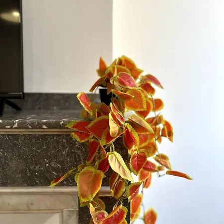 Le Toulousain 302 - Cosy En Hypercentre - Quartier Jeanne-d'arc Apartment