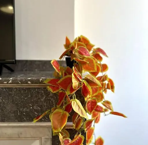 Le Toulousain 302 - Cosy En Hypercentre - Quartier Jeanne-d'arc Apartamento